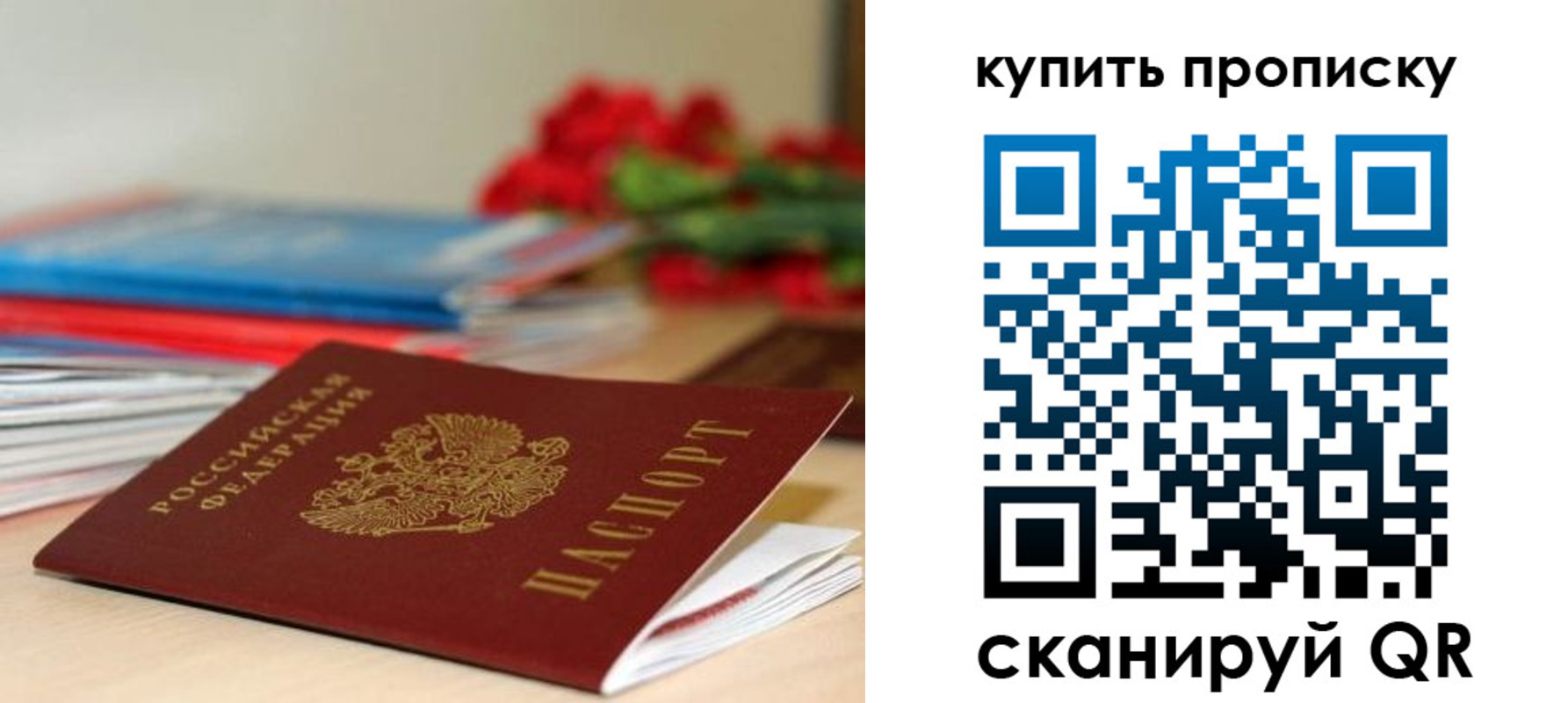 прописка в Чистополье